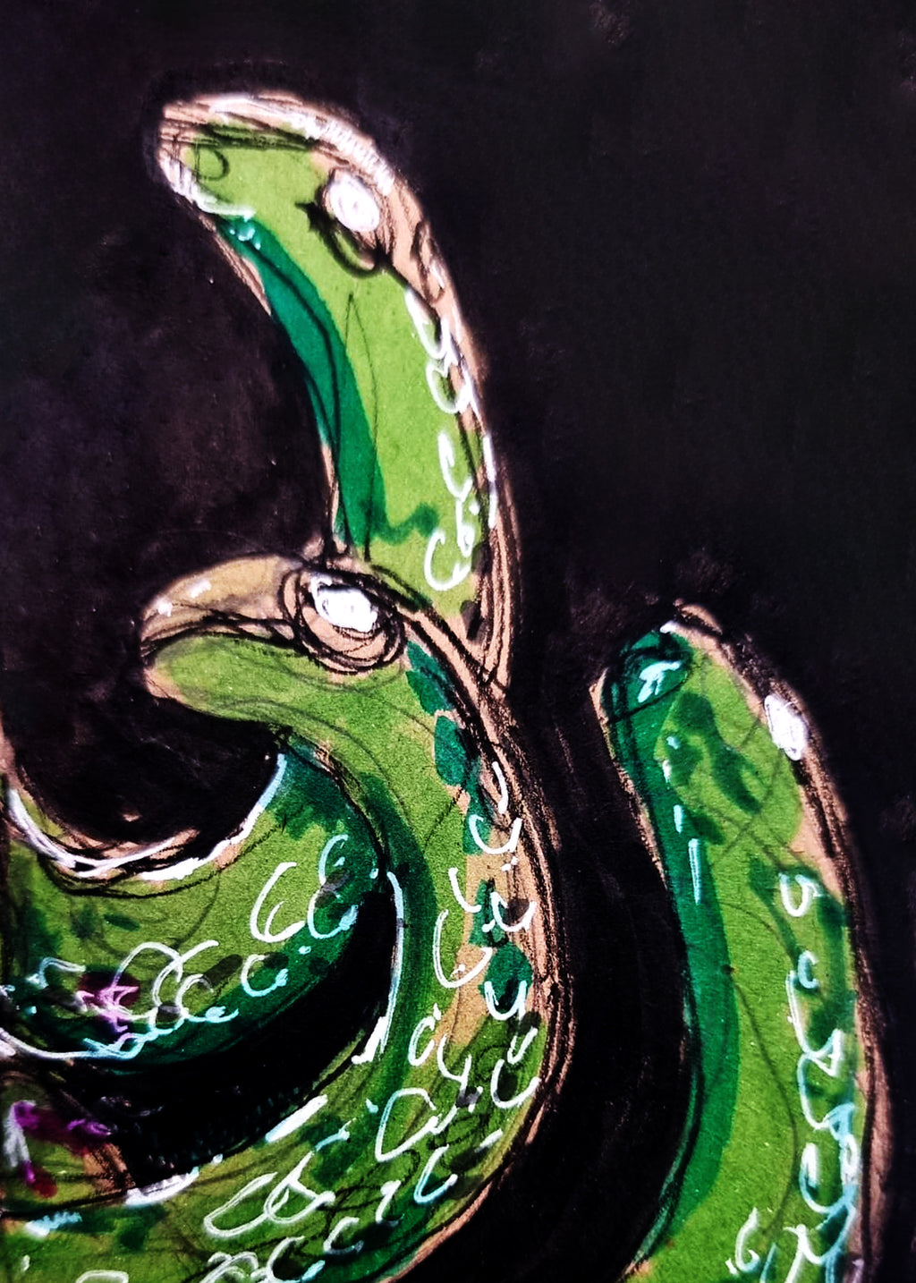 007_MEDUSO - Edição limitada